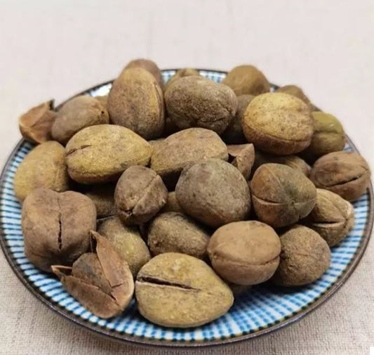 Ba Dou 巴豆 - Crotonis Fructus