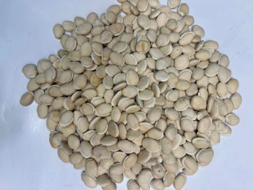 Bai Bian Dou 白扁豆 - Lablab Semen Album