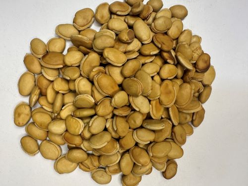 Chao Bai Bian Dou 炒白扁豆 - Lablab Album Semen Praeparata