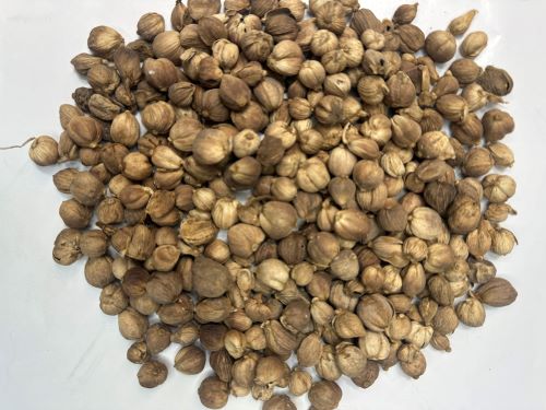 Bai Dou Kou 白豆蔻 - Amomi Rotundus Fructus