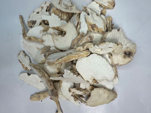 Bai Lian 白蘞 - 	Ampelopsis Radix