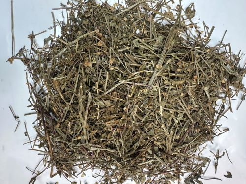 Ban Zhi Lian 半枝蓮 - Scutellariae Barbatae Herba