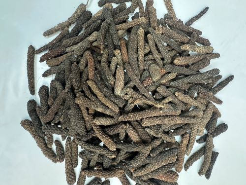 Bi Bo (Bi Ba) 蓽茇 - Piperis Longi Fructus