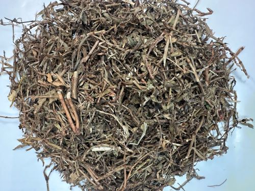 Bian Xu 萹蓄 - Polygoni Avicularis Herba