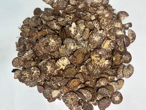 Bing lang 檳榔 - Arecae Semen