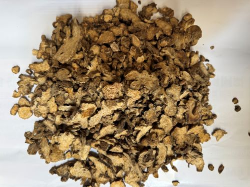 Cang Zhu 蒼朮 - Atractylodis Rhizoma