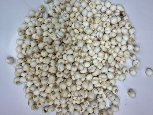 Chuan Bei Mu 川貝母 - Fritillariae Cirrhosae Bulbus