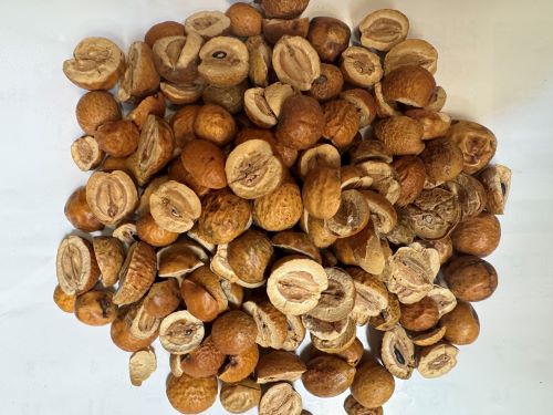 Chuan Lian Zi 川楝子 - Toosendan Fructus