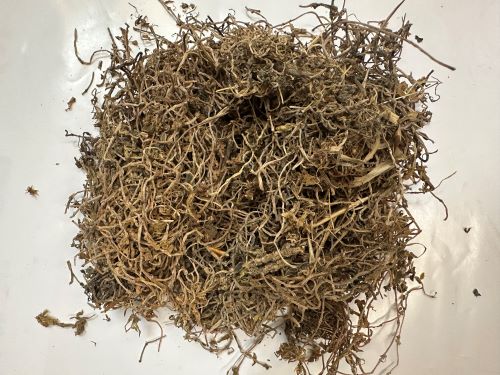 Chui Pen Cao 垂盆草 - Sedi Herba