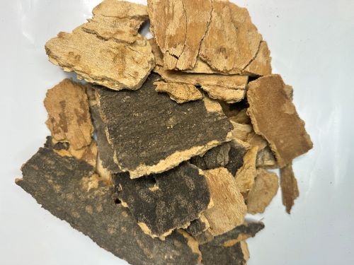 Chun Pi 椿皮 - Ailanthi Cortex