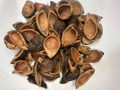 Da Fu Pi 大腹皮 - Arecae Pericarpium