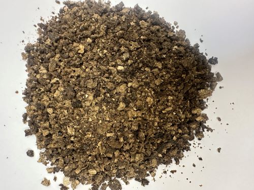 Dan Nan Xing 膽南星 - Arisaema Cum Bile