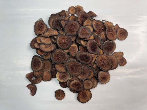 Lu Rong 鹿茸 - Cervi Cornu Pantotrichum