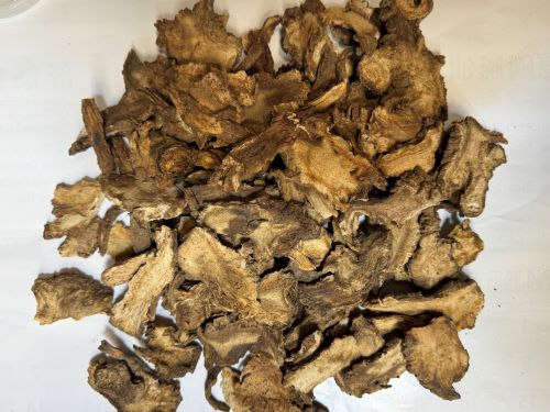 Du Huo 獨活 - Angelicae Pubescentis Radix
