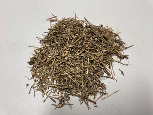 Fei Yang Cao 飛揚草 - Euphorbiae Hirtae Herba