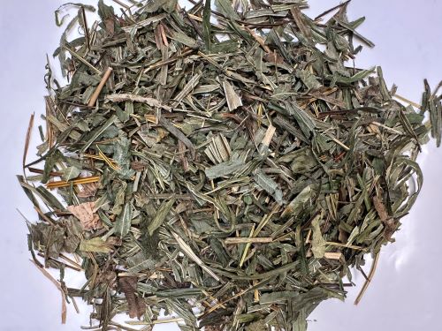 Feng Wei Cao 鳳尾草 - Pteris Multifida Herba