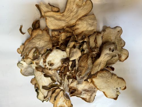 Fo Shou 佛手 - Citri Sarcodactylis Fructus