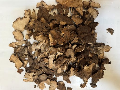 Fu Ling Pi 茯苓皮 - Poriae Cutis