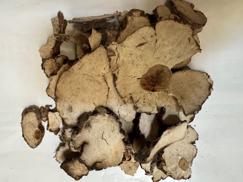 Fu Shen 茯神 - 	Poria