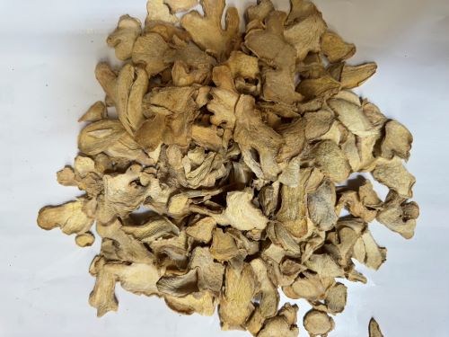 Gan Jiang 乾薑 - Zingiberis Rhizoma