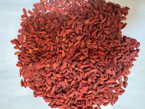 Gou Qi Zi 枸杞子 - Lycii Fructus