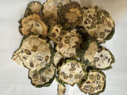 Gua Lou (Quan) 瓜蔞(全) - Trichosanthis Fructus