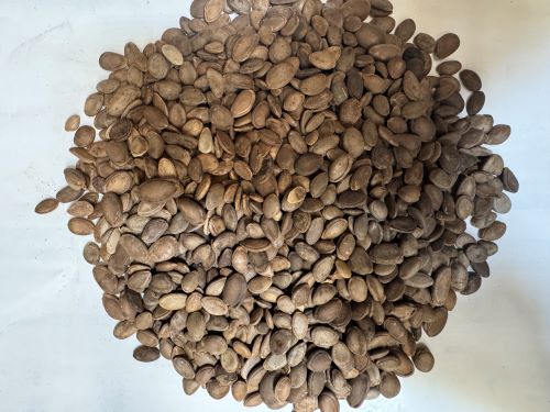 Gua Lou Zi (Gua Lou Ren) 瓜蔞子 (瓜蔞仁)- Semen Trichosanthis