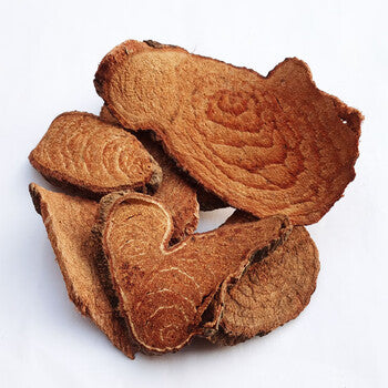 Guo Jiang Long 過江龍 - Lycopodium Complanatum Herba