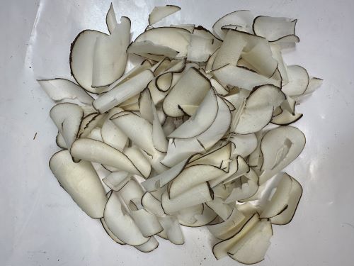 Hai Di Ye 海底椰 - Lodoicea Maldivica Fructus