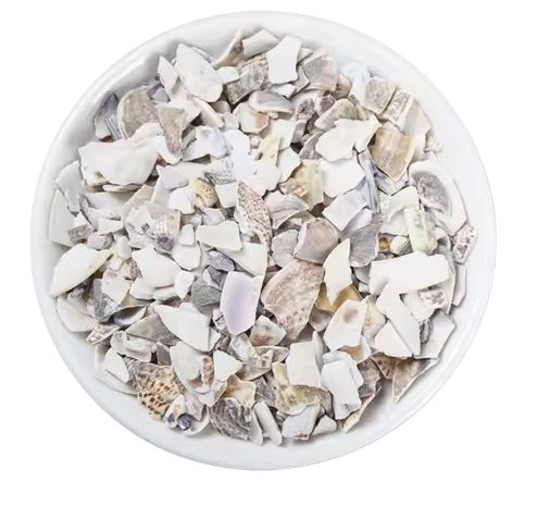 Hai Ge Ke 海蛤壳 - Meretricis Cyclinae