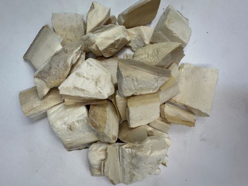 Hai Piao Xiao 海螵蛸 - Sepiae Endoconcha