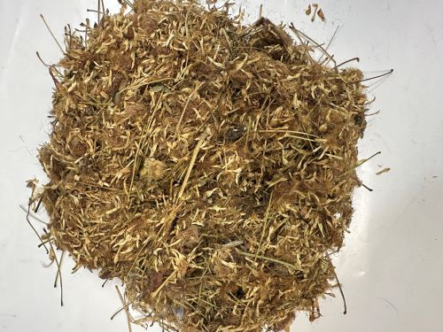 He Huan Hua (North) 合歡花 (北) - Albizzia Julibrissin Durazz