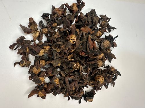 He Huan Hua (South) 合歡花(南) - Albizzia Julibrissin Durazz