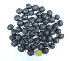 Hei Dou 黑豆 - Sojae Semen Nigrum