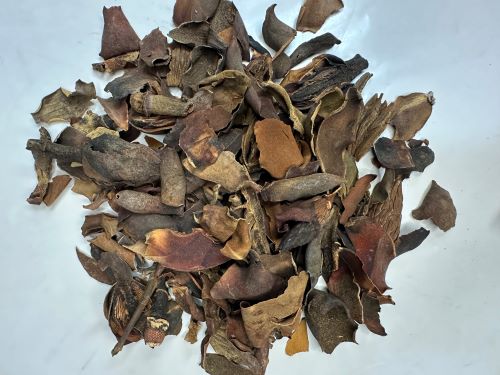 Hou Pu Hua 厚朴花 - Magnoliae Officinalis Flos