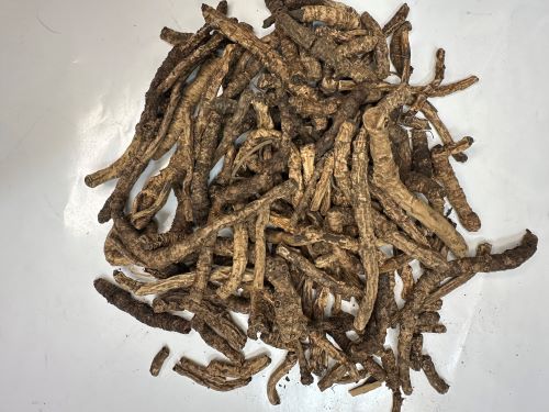 Hu Huang Lian 胡黃連 - Picrorhizae Rhizoma