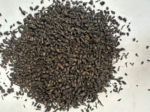 Huai Hua Tan 槐花炭 - Sophorae Flos Carbonisatum