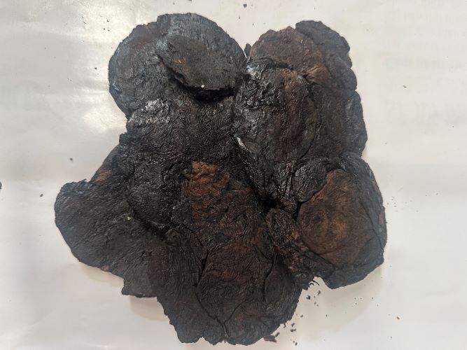 Huang Jing 黃精 - Polygonati Rhizoma