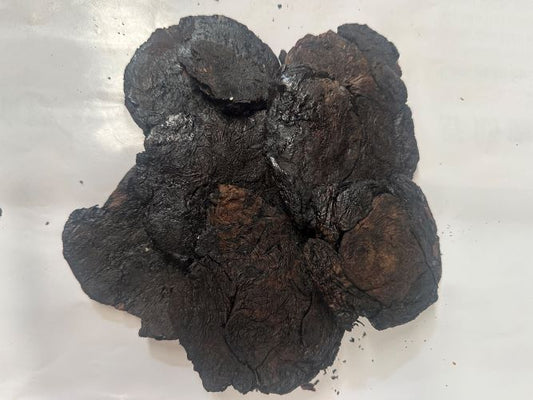 Huang Jing 黃精 - Polygonati Rhizoma