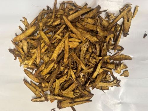 Huang Qin 黃芩 - Scutellariae Radix