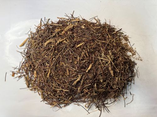 Ji Gu Cao 雞骨草 - Abri Herba