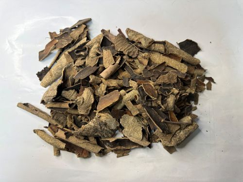 Jiu Bi Ying 救必應 - Ilicis Rotundae Cortex