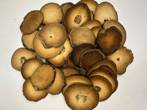 Ju Hong 橘紅 - Citri Exocarpium Rubrum