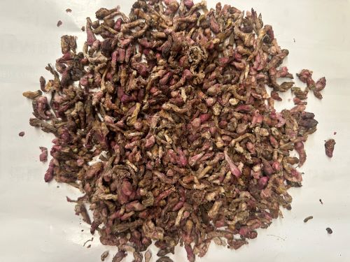 Kuan Dong Hua 款冬花 - Farfarae Flos