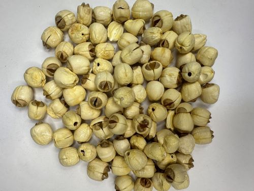 Lian Zi 蓮子 - Nelumbinis Semen