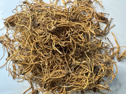 Long Dan Cao 龍膽草 - Gentianae Radix