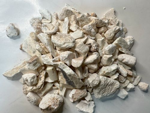 Long Gu 龍骨 - Os Draconis