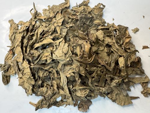 Long Li Ye 龍脷葉 - Sauropi Folium