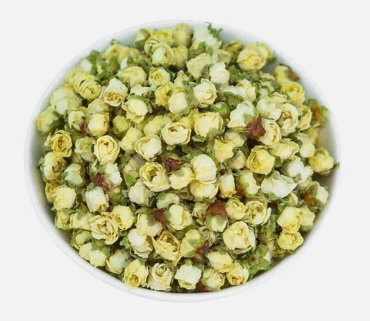 Lu E Mei 綠萼梅 - Armeniaca Mume