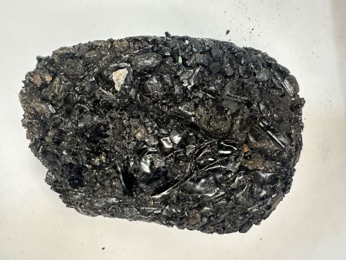 Lu Hui 蘆薈 - Aloe